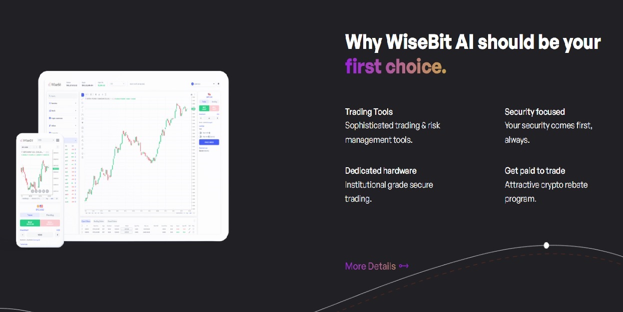 WiseBit AI Benefits