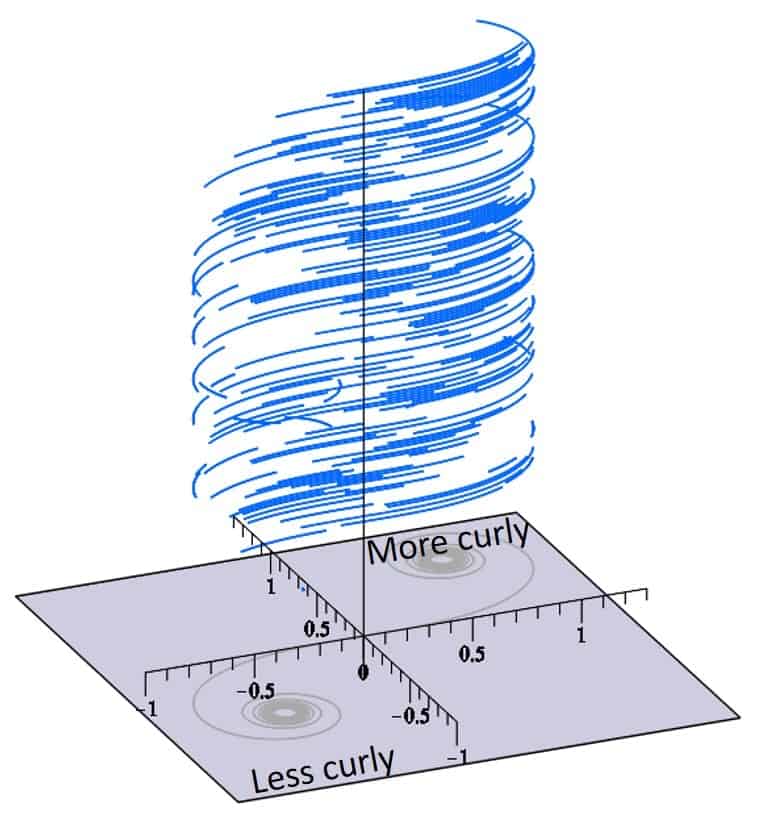 How scientists discovered a math equation in rat whiskers 1 How scientists discovered a math equation in rat whiskers 1