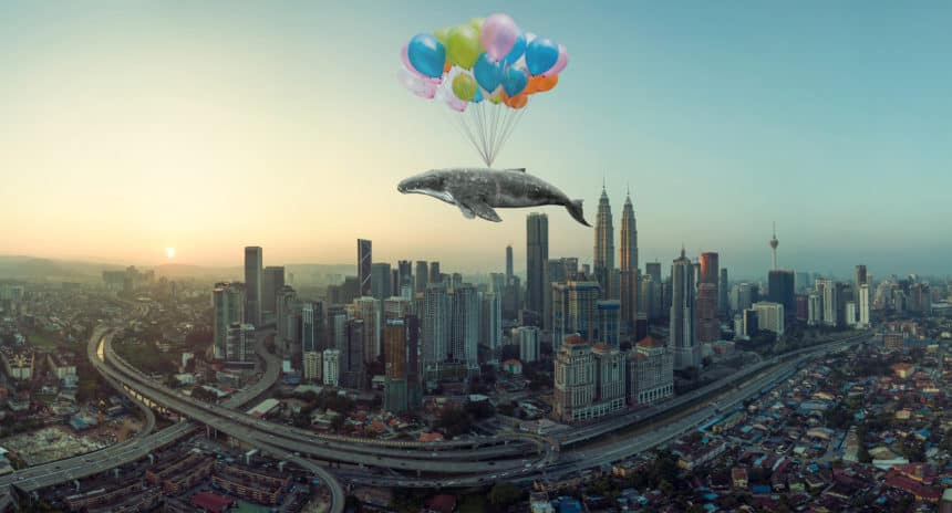 Mysterious Bitcoin Whale Who Kickstarted Previous Crashes Appears Again 1 Mysterious Bitcoin Whale Who Kickstarted Previous Crashes Appears Again 1
