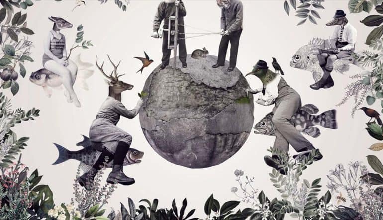 The Surreal Animal Collages by Katarzyna & Marcin Owczarek