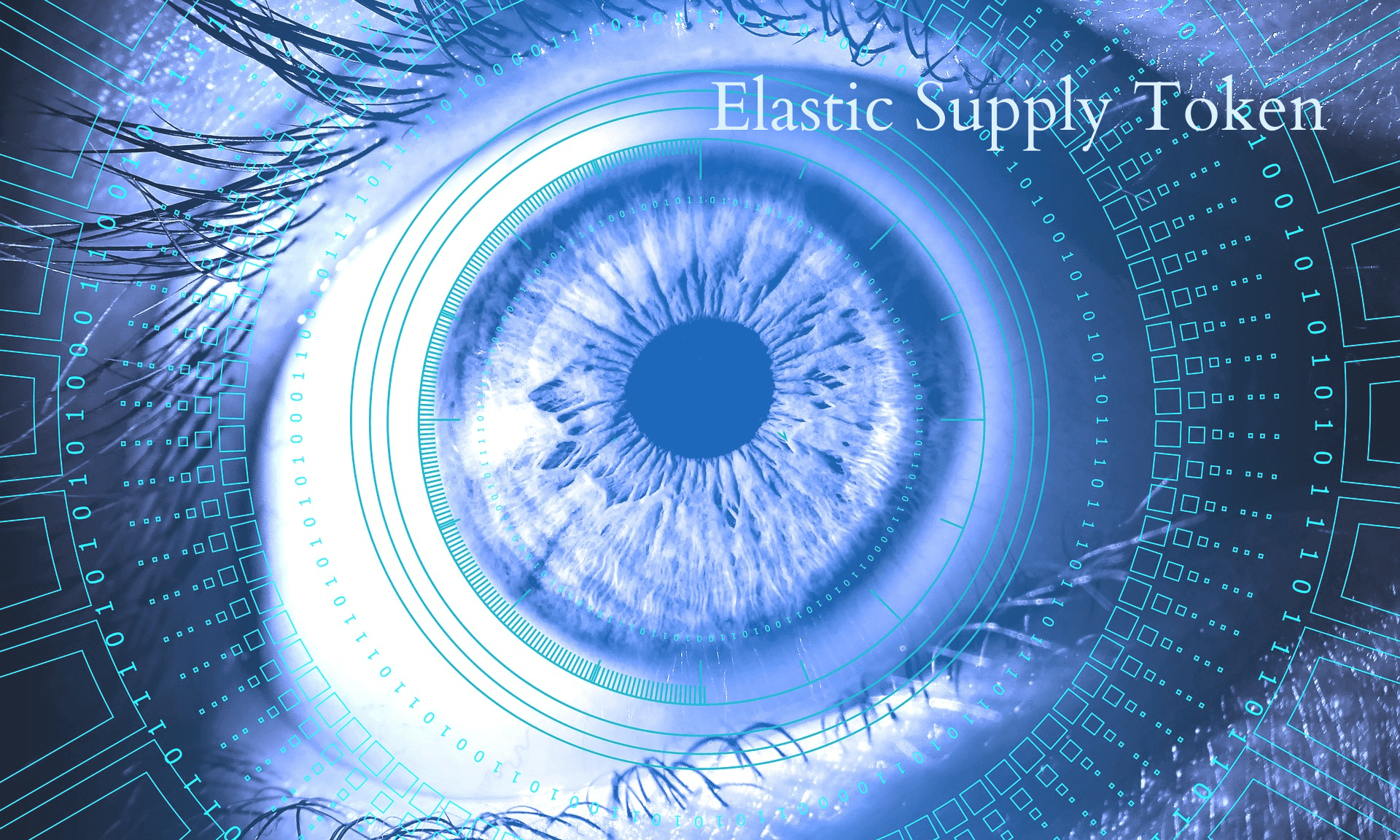 Elastic Supply Token