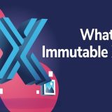 What Is Immutable X and What Does it Do?