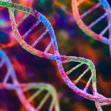 Genomics Firm Explores GeneNFTs Aiming To Advance Precision Medicine