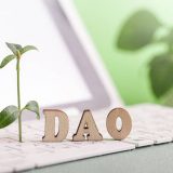 What Is A DAO LLC?
