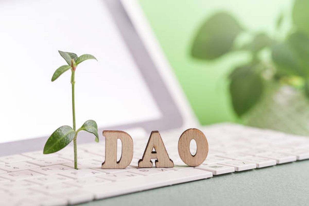 What Is A DAO LLC?