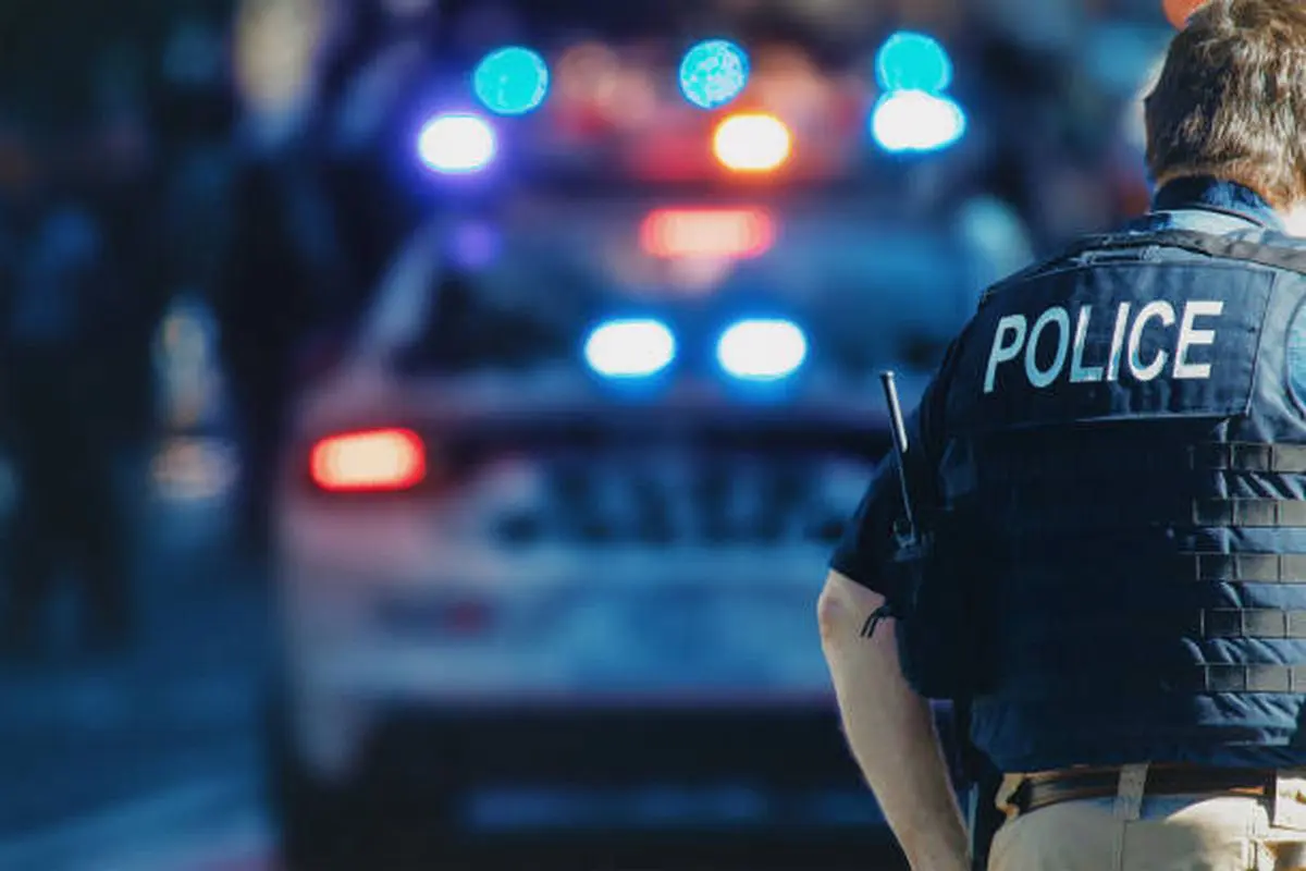 Fog Reveal Lets Police Execute ‘Mass Surveillance On A Budget’