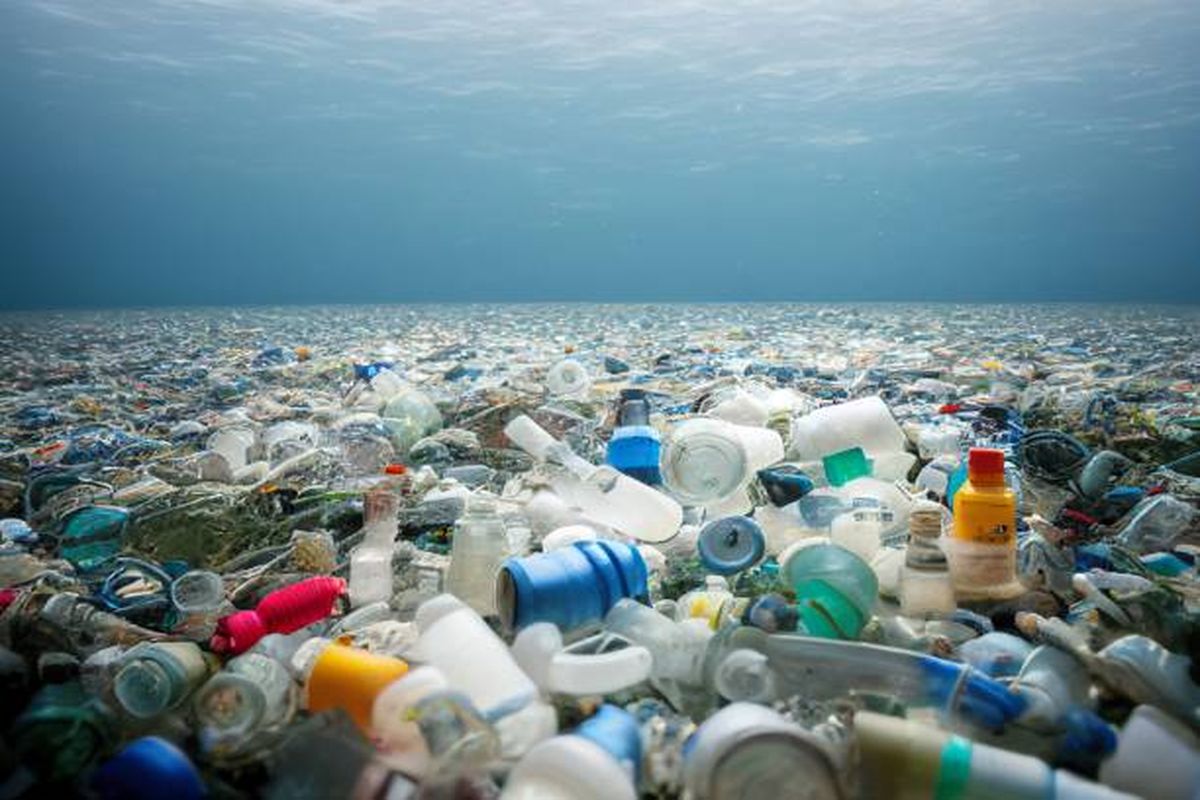 Breakthrough: Scientists Stumble Upon Shocking Innovation for Combating Plastic Pollution