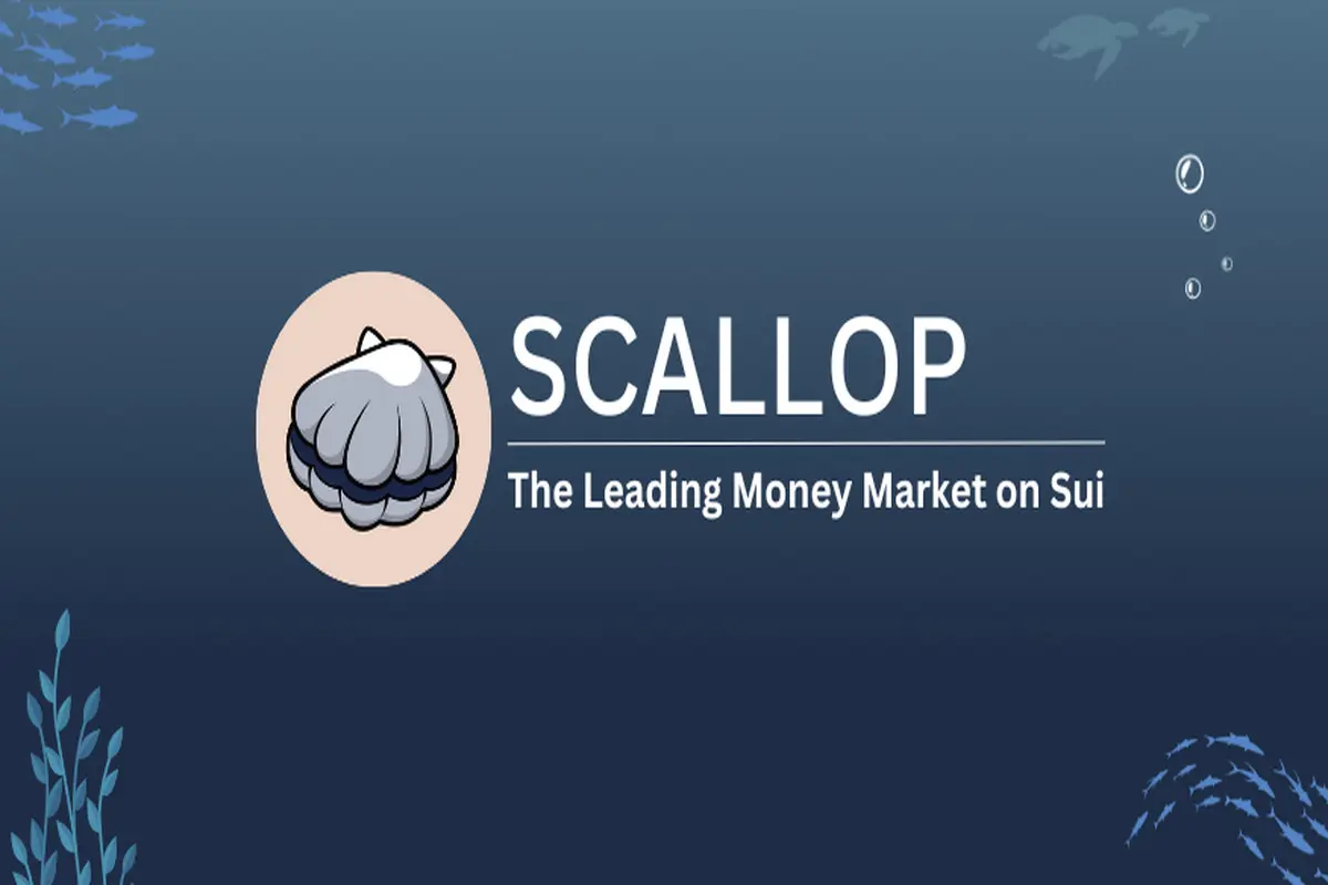 A User-Friendly Lending Protocol Hosted On Sui Blockchain Boosts DeFi Adoption